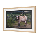 Longhorn 1 by Gary Blatter a Hand Embellished Framed Photo Art Print Matted under Glass by Mercana at Eve Furniture