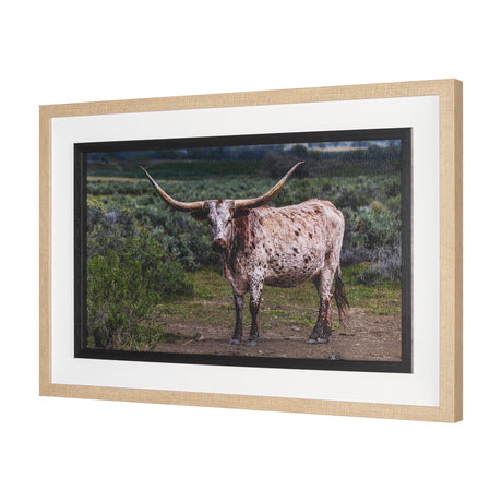Longhorn 1 by Gary Blatter a Hand Embellished Framed Photo Art Print Matted under Glass by Mercana at Eve Furniture