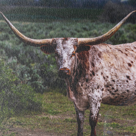 Longhorn 1 by Gary Blatter a Hand Embellished Framed Photo Art Print Matted under Glass by Mercana at Eve Furniture
