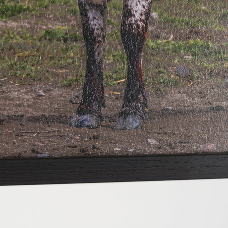Longhorn 1 by Gary Blatter a Hand Embellished Framed Photo Art Print Matted under Glass by Mercana at Eve Furniture
