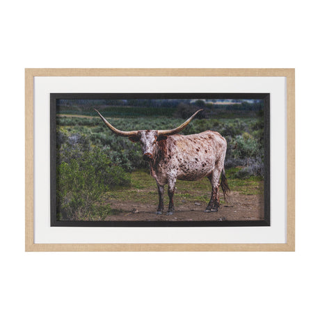 Longhorn 1 by Gary Blatter a Hand Embellished Framed Photo Art Print Matted under Glass by Mercana at Eve Furniture
