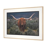 Longhorn 5 by Gary Blatter a Hand Embellished Framed Photo Art Print Matted under Glass by Mercana at Eve Furniture