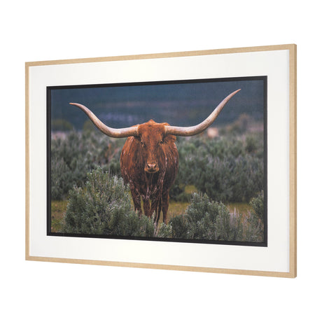 Longhorn 5 by Gary Blatter a Hand Embellished Framed Photo Art Print Matted under Glass by Mercana at Eve Furniture