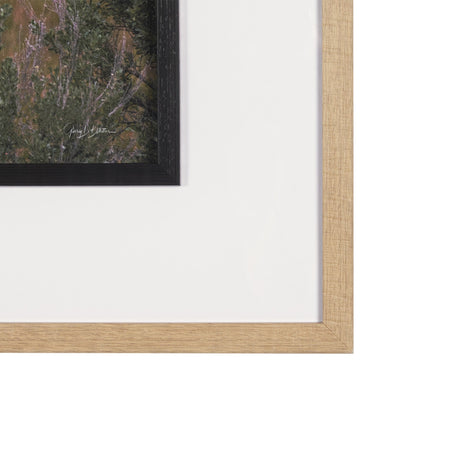 Longhorn 5 by Gary Blatter a Hand Embellished Framed Photo Art Print Matted under Glass by Mercana at Eve Furniture