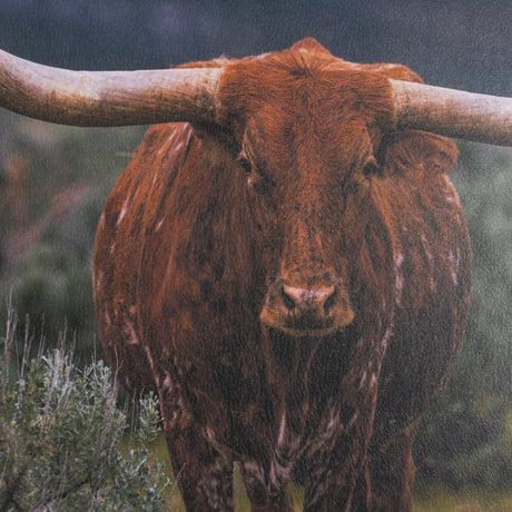 Longhorn 5 by Gary Blatter a Hand Embellished Framed Photo Art Print Matted under Glass by Mercana at Eve Furniture