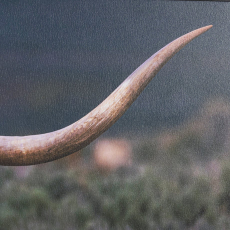 Longhorn 5 by Gary Blatter a Hand Embellished Framed Photo Art Print Matted under Glass by Mercana at Eve Furniture
