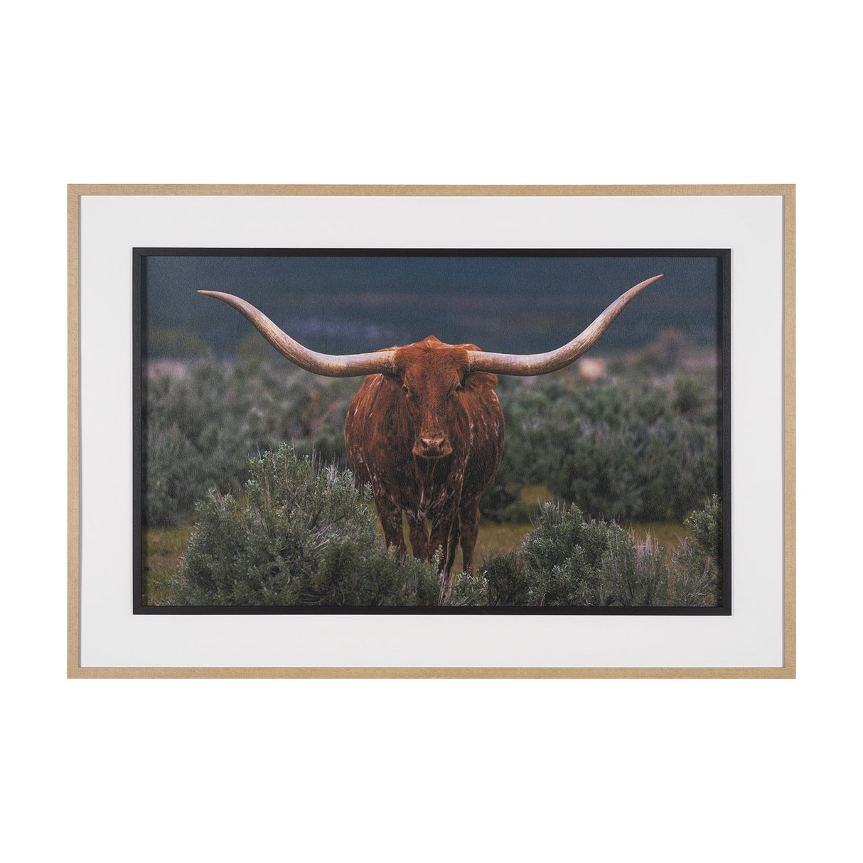 Longhorn 5 by Gary Blatter a Hand Embellished Framed Photo Art Print Matted under Glass by Mercana at Eve Furniture