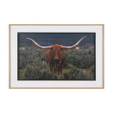 Longhorn 5 by Gary Blatter a Hand Embellished Framed Photo Art Print Matted under Glass by Mercana at Eve Furniture