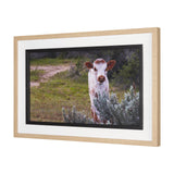 Longhorn 7 by Gary Blatter a Hand Embellished Framed Photo Art Print Matted under Glass by Mercana at Eve Furniture