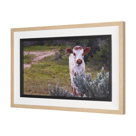 Longhorn 7 by Gary Blatter a Hand Embellished Framed Photo Art Print Matted under Glass by Mercana at Eve Furniture