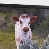 Longhorn 7 by Gary Blatter a Hand Embellished Framed Photo Art Print Matted under Glass by Mercana at Eve Furniture