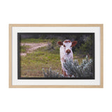 Longhorn 7 by Gary Blatter a Hand Embellished Framed Photo Art Print Matted under Glass by Mercana at Eve Furniture