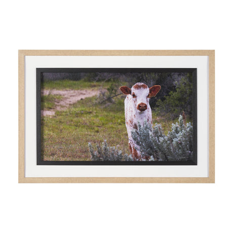 Longhorn 7 by Gary Blatter a Hand Embellished Framed Photo Art Print Matted under Glass by Mercana at Eve Furniture