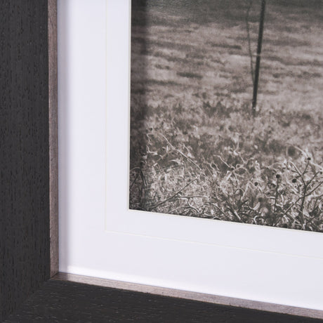 Longhorn Last Call BW by Nathan Larson Hand Embelished Textured Framed Photo Art Print Matted under by Mercana at Eve Furniture