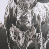 Longhorn Last Call BW by Nathan Larson Hand Embelished Textured Framed Photo Art Print Matted under by Mercana at Eve Furniture