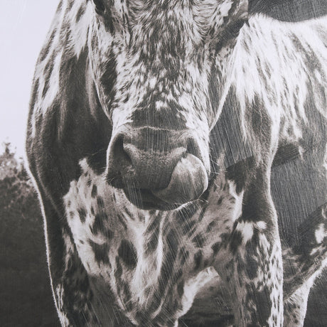 Longhorn Last Call BW by Nathan Larson Hand Embelished Textured Framed Photo Art Print Matted under by Mercana at Eve Furniture
