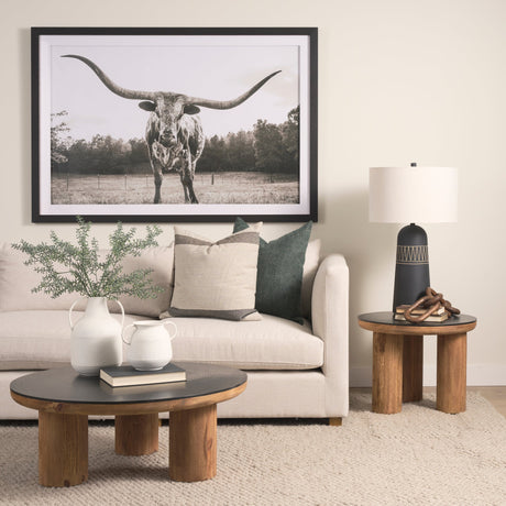 Longhorn Last Call BW by Nathan Larson Hand Embelished Textured Framed Photo Art Print Matted under by Mercana at Eve Furniture