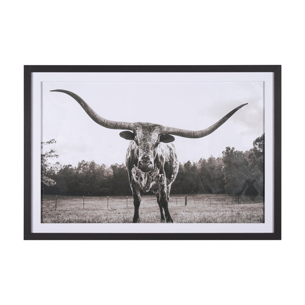 Longhorn Last Call BW by Nathan Larson Hand Embelished Textured Framed Photo Art Print Matted under by Mercana at Eve Furniture