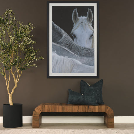 Look by Milan Malovrh FramedPhoto Print Matted under Glass by Mercana at Eve Furniture