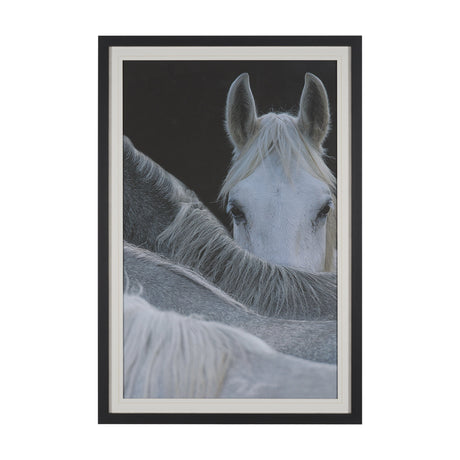 Look by Milan Malovrh FramedPhoto Print Matted under Glass by Mercana at Eve Furniture