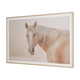 Looking Back by Nathan Larson FramedPhoto Print Matted Under Glass by Mercana at Eve Furniture