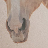 Looking Back by Nathan Larson FramedPhoto Print Matted Under Glass by Mercana at Eve Furniture