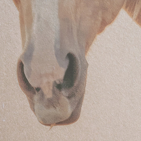 Looking Back by Nathan Larson FramedPhoto Print Matted Under Glass by Mercana at Eve Furniture