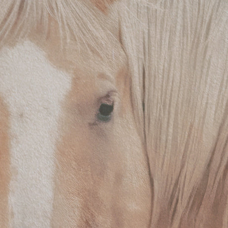 Looking Back by Nathan Larson FramedPhoto Print Matted Under Glass by Mercana at Eve Furniture