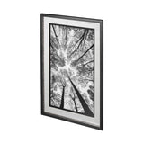 Looking Up I BW by Mercana Studio a Hand Embellished Textured Framed Photo Art Print Matted under Gl by Mercana at Eve Furniture
