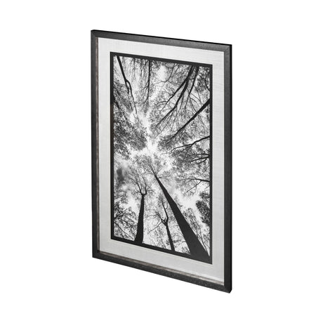 Looking Up I BW by Mercana Studio a Hand Embellished Textured Framed Photo Art Print Matted under Gl by Mercana at Eve Furniture