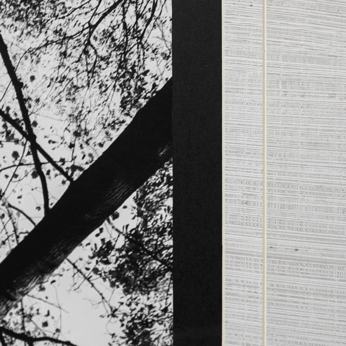 Looking Up I BW by Mercana Studio a Hand Embellished Textured Framed Photo Art Print Matted under Gl by Mercana at Eve Furniture