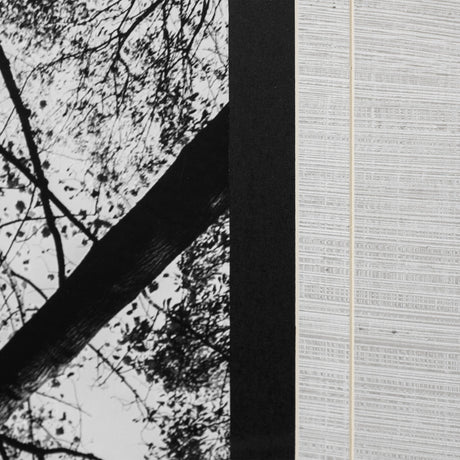 Looking Up I BW by Mercana Studio a Hand Embellished Textured Framed Photo Art Print Matted under Gl by Mercana at Eve Furniture