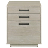 Loomis 3-Drawer Square File Cabinet Whitewashed Gray