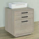 Loomis Whitewashed Gray 3-Drawer Square File Cabinet by Coaster at Eve Furniture