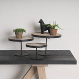 Lorenz (Set of 3) Light Brown Wood W/ Black Metal Base Round Decorative Display Stands by Mercana at Eve Furniture