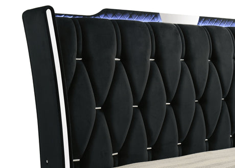 Lorient Black Queen LED Upholstered Wingback Bed by Coaster at Eve Furniture