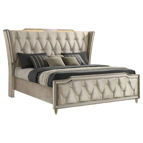 Lorient Ivory/Camel Queen LED Upholstered Wingback Bed by Coaster at Eve Furniture