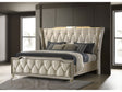 Lorient Ivory/Camel Queen LED Upholstered Wingback Bed by Coaster at Eve Furniture