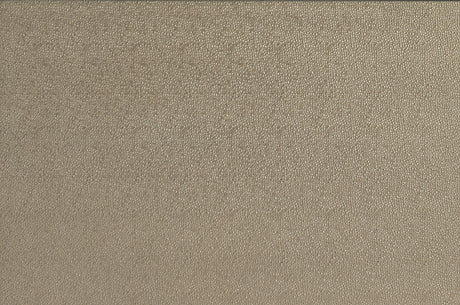 Loudon Champagne Metallic Mirror (Mirror Only) with LED Lighting by Homelegance at Eve Furniture