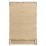 Louis Philippe 5-drawer Bedroom Chest White by Coaster at Eve Furniture