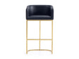Louvre Barstool in Black by Manhattan Comfort at Eve Furniture