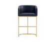Louvre Counter Stool in Black by Manhattan Comfort at Eve Furniture