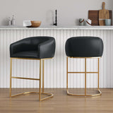 Louvre Counter Stool in Black (set of 2) by Manhattan Comfort at Eve Furniture