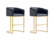 Louvre Counter Stool in Black (set of 2) by Manhattan Comfort at Eve Furniture