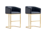 Louvre Counter Stool in Black (set of 2) by Manhattan Comfort at Eve Furniture