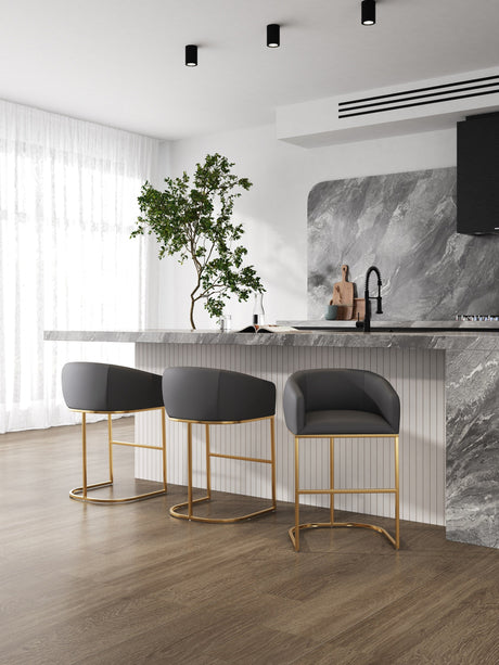Louvre Counter Stool in Grey and Titanium Gold (set of 2) by Manhattan Comfort at Eve Furniture