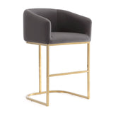 Louvre Counter Stool in Grey and Titanium Gold (set of 2) by Manhattan Comfort at Eve Furniture
