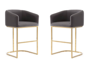 Louvre Counter Stool in Grey and Titanium Gold (set of 2) by Manhattan Comfort at Eve Furniture