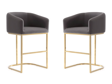 Louvre Counter Stool in Grey and Titanium Gold (set of 2) by Manhattan Comfort at Eve Furniture