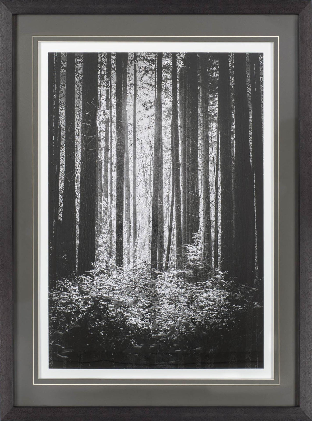 Lowland Winter Forest No 13, Tiger Mountain by Bisig, Steve a Framed Photo Art Print Matted under Gl by Mercana at Eve Furniture